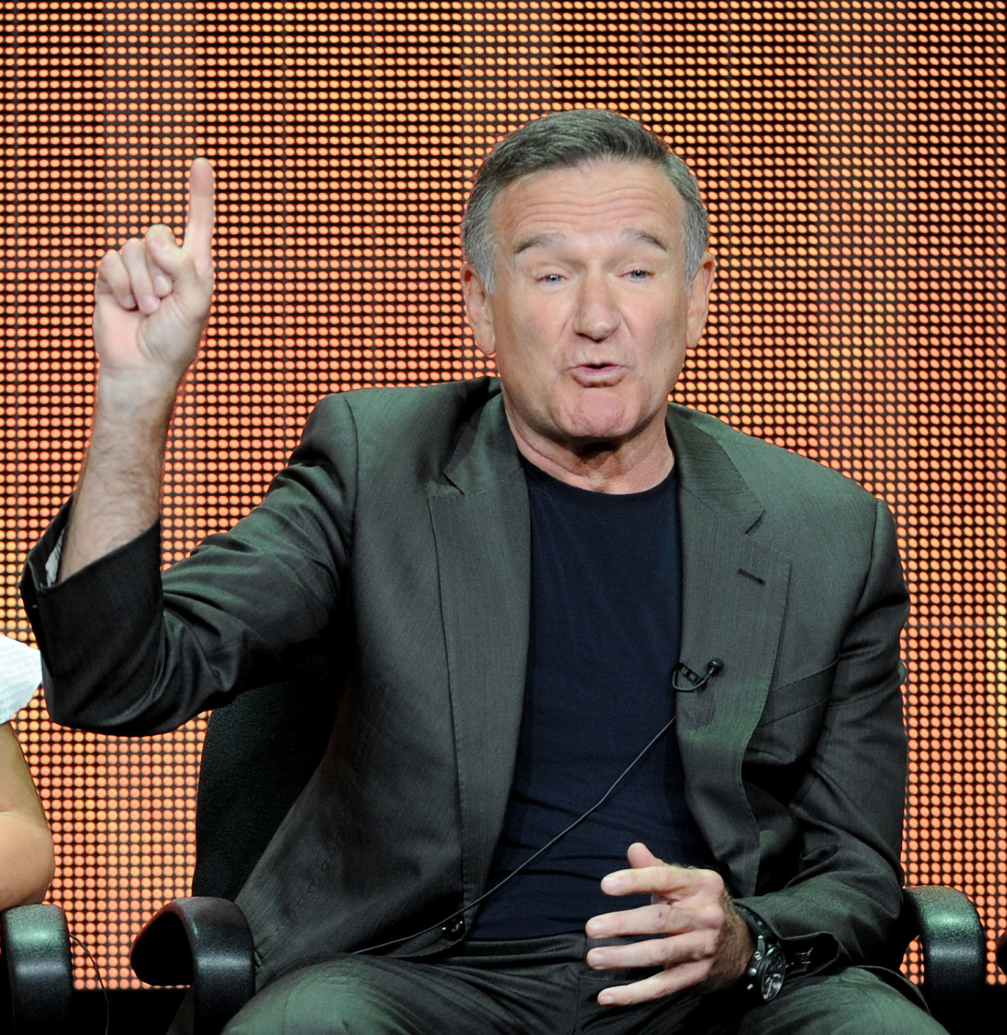 Robin Williams, 2013